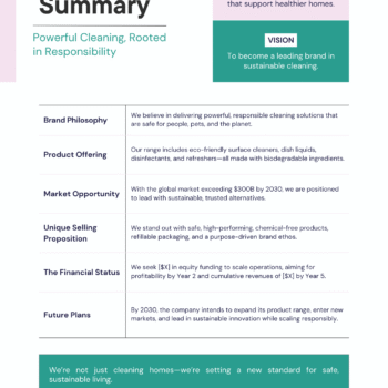 Cleaning Products Business Plan Template - Executive Summary