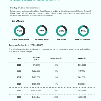 Cleaning Products Business Plan Template - Financial Plan