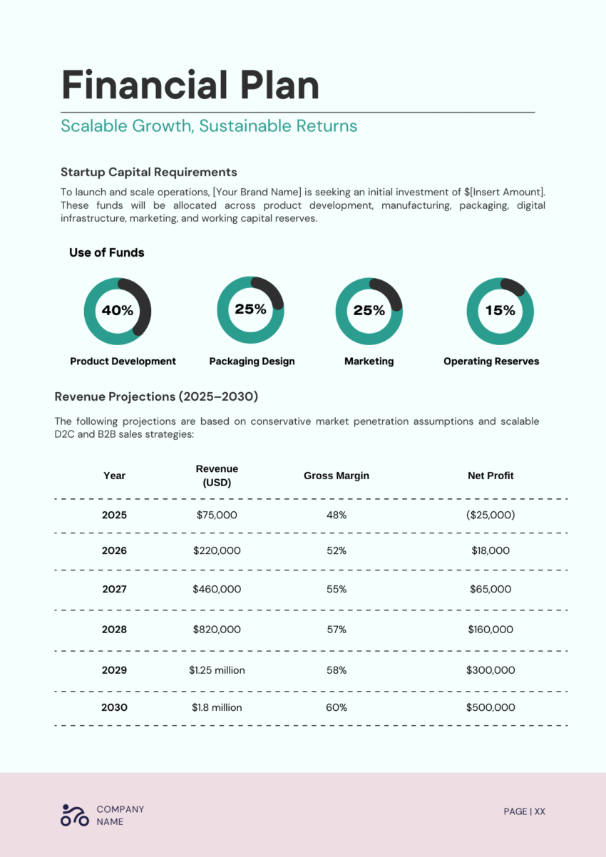 Cleaning Products Business Plan Template - Financial Plan