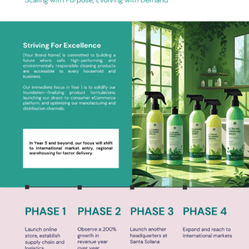 Cleaning Products Business Plan Template - Future Roadmap