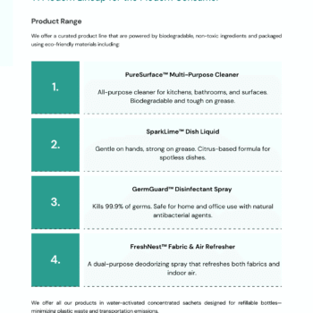 Cleaning Products Business Plan Template - Product