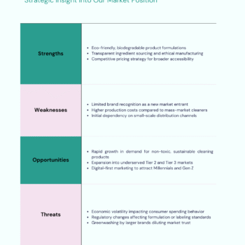 Cleaning Products Business Plan Template - SWOT Analysis