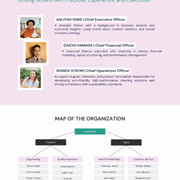 Cleaning Products Business Plan Template - The Team