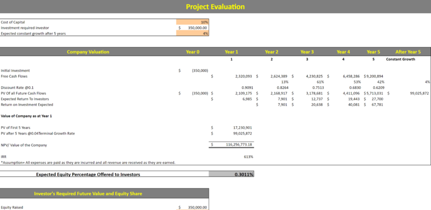 Errand Service Financial Model Template