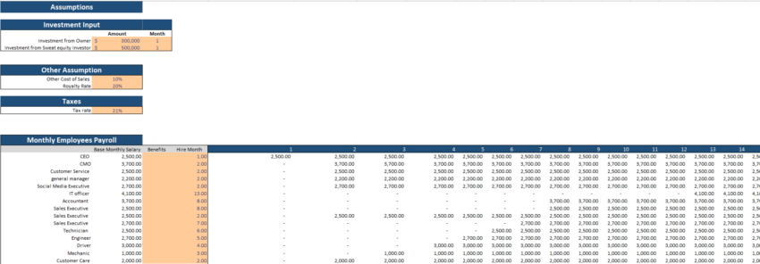 Financial_Model_Amusement_Park_Cashflow Statement - input sheet