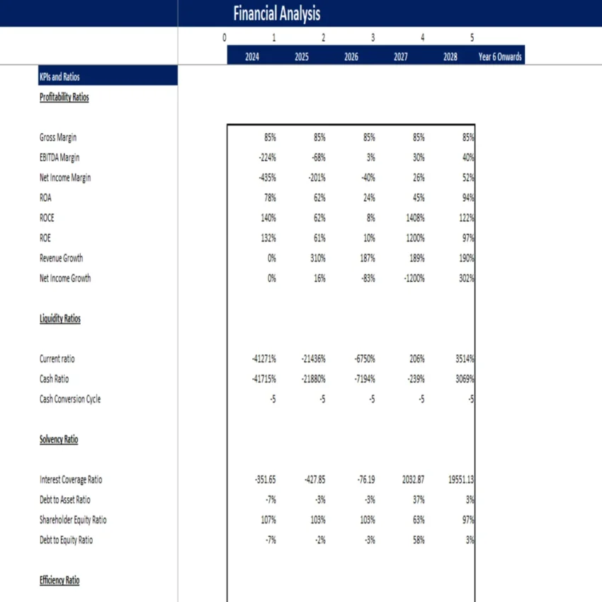 Music Festival Excel Financial Model Template-KPIs and Ratios