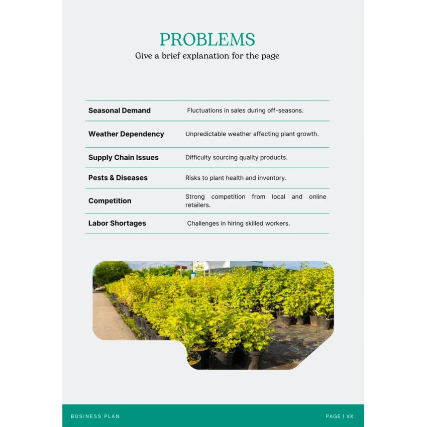 Nursery Garden Business Plan Template - Problems
