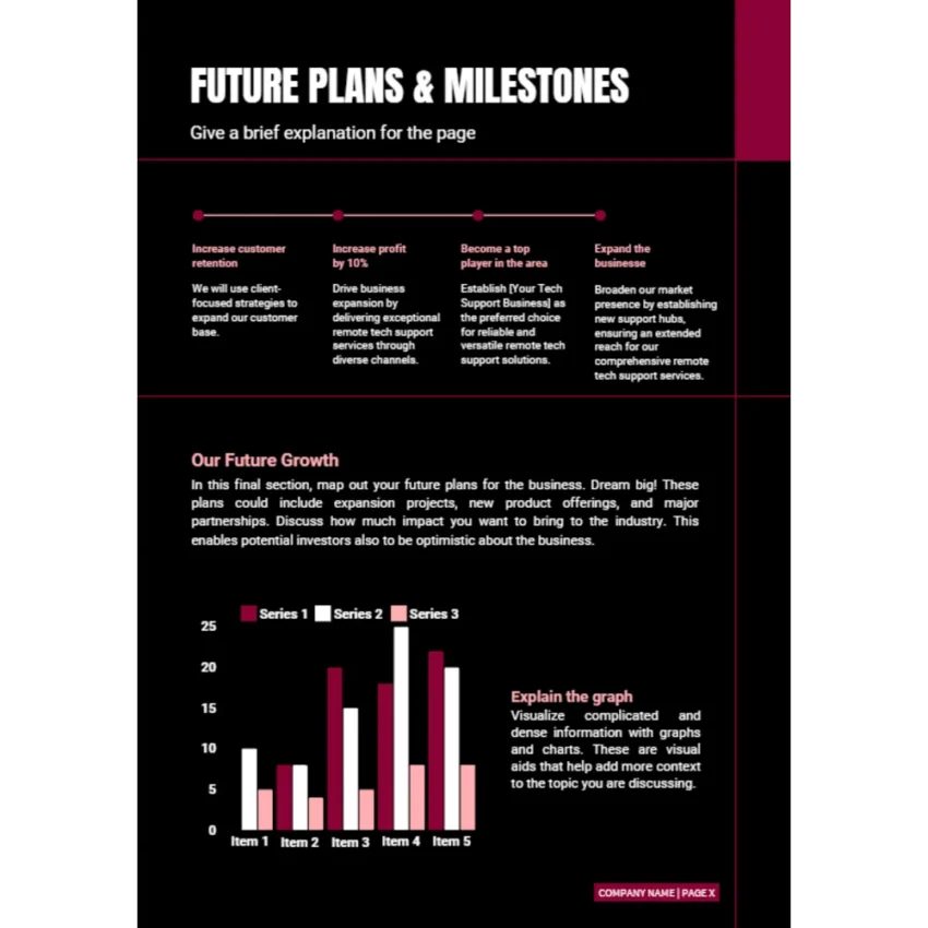 Remote Tech Support Business Plan - Future Plans and Milestones