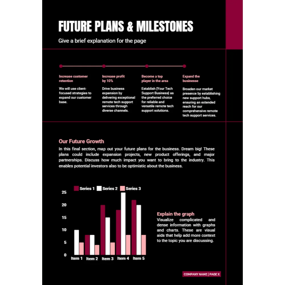 Remote Tech Support Business Plan - Future Plans and Milestones