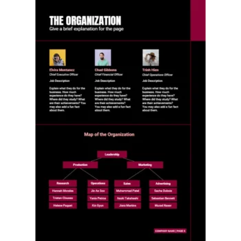 Remote Tech Support Business Plan - The Organization