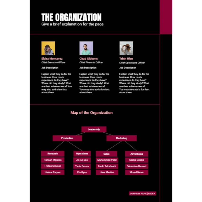 Remote Tech Support Business Plan - The Organization