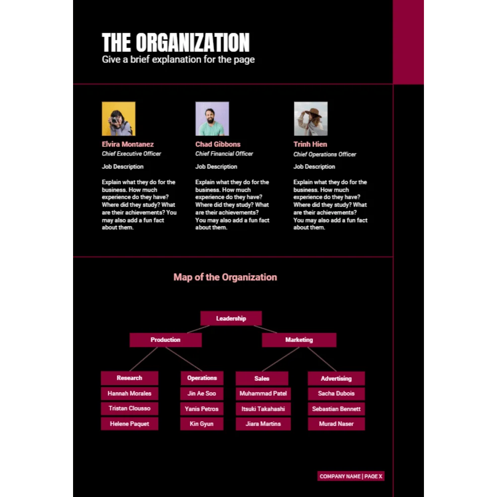 Remote Tech Support Business Plan - The Organization