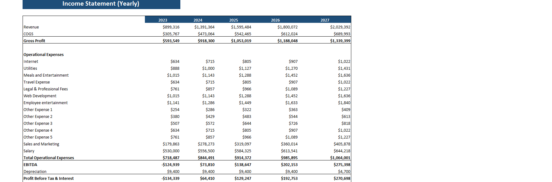 Beauty Subscription Box Excel Financial Model-Yearly Income Statement
