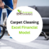 Carpet Cleaning Excel Financial Model