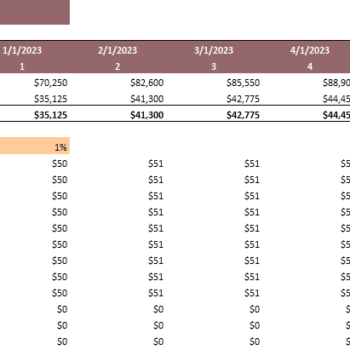 Dermatology Center Excel Financial Model Template-Income Statement (Monthly)