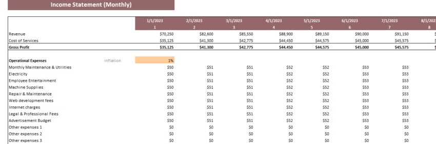 Dermatology Center Excel Financial Model Template-Income Statement (Monthly)