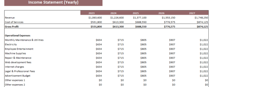 Dermatology Center Excel Financial Model Template-Income Statement (Yearly)