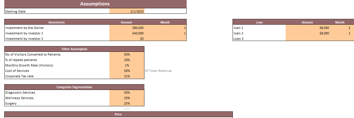 Dermatology Center Excel Financial Model Template-Input sheet
