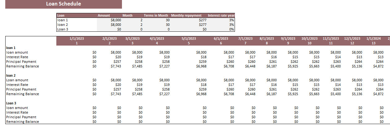 Dermatology Center Excel Financial Model Template-Loan Schedule