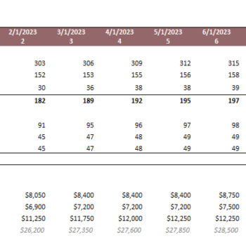 Dermatology Center Excel Financial Model Template-Revenue Analysis