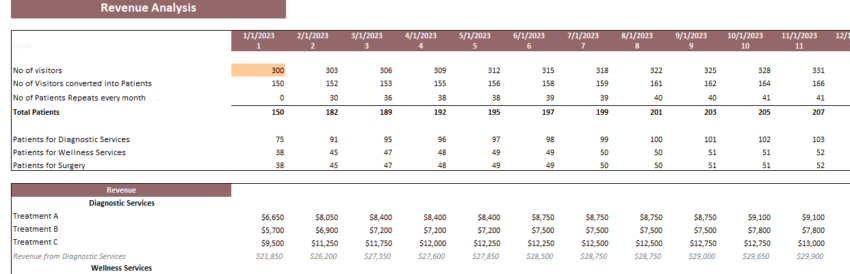 Dermatology Center Excel Financial Model Template-Revenue Analysis
