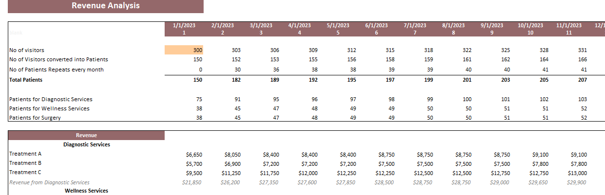 Dermatology Center Excel Financial Model Template-Revenue Analysis