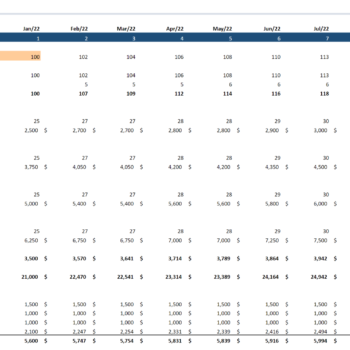 Human Resource Software Financial Model 
