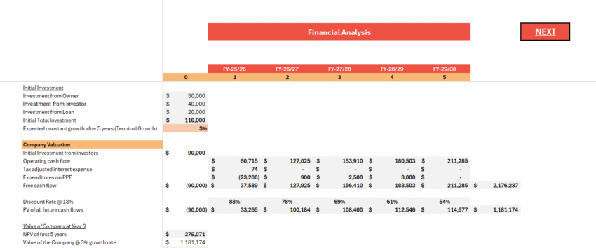 Tailor Services Financial Model - Company Valuation