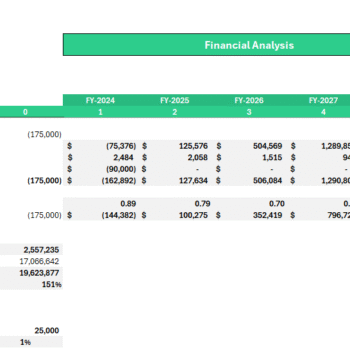 Video Agency Financial Model - Company Valuation