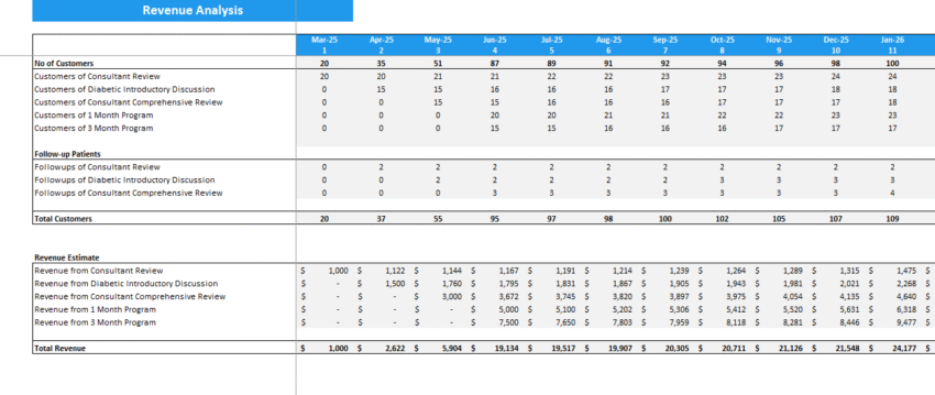 Diabetic Clinic Financial Model - Revenue Analysis