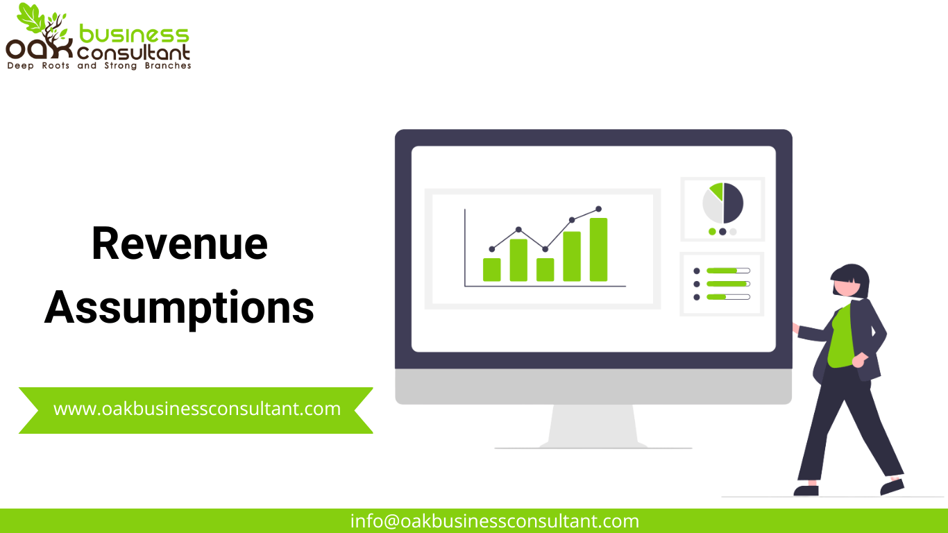 Revenue Assumptions