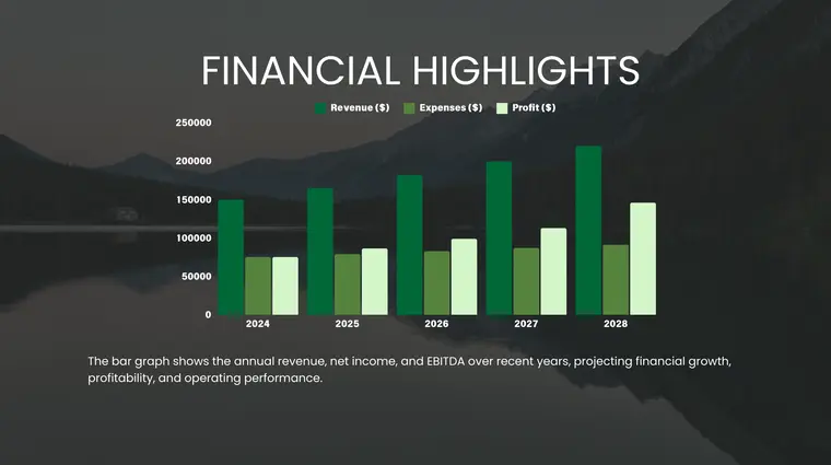 Tourism Business Pitch Deck Template - Financial Highlights