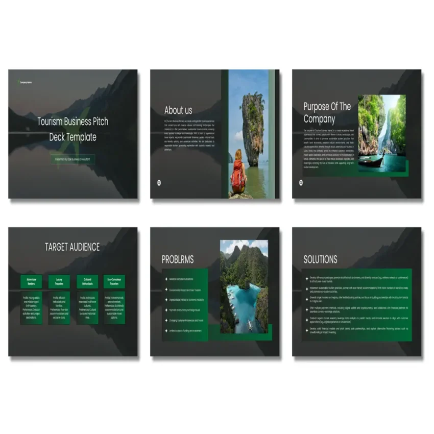 Tourism Business Pitch Deck Template - Purpose - FI