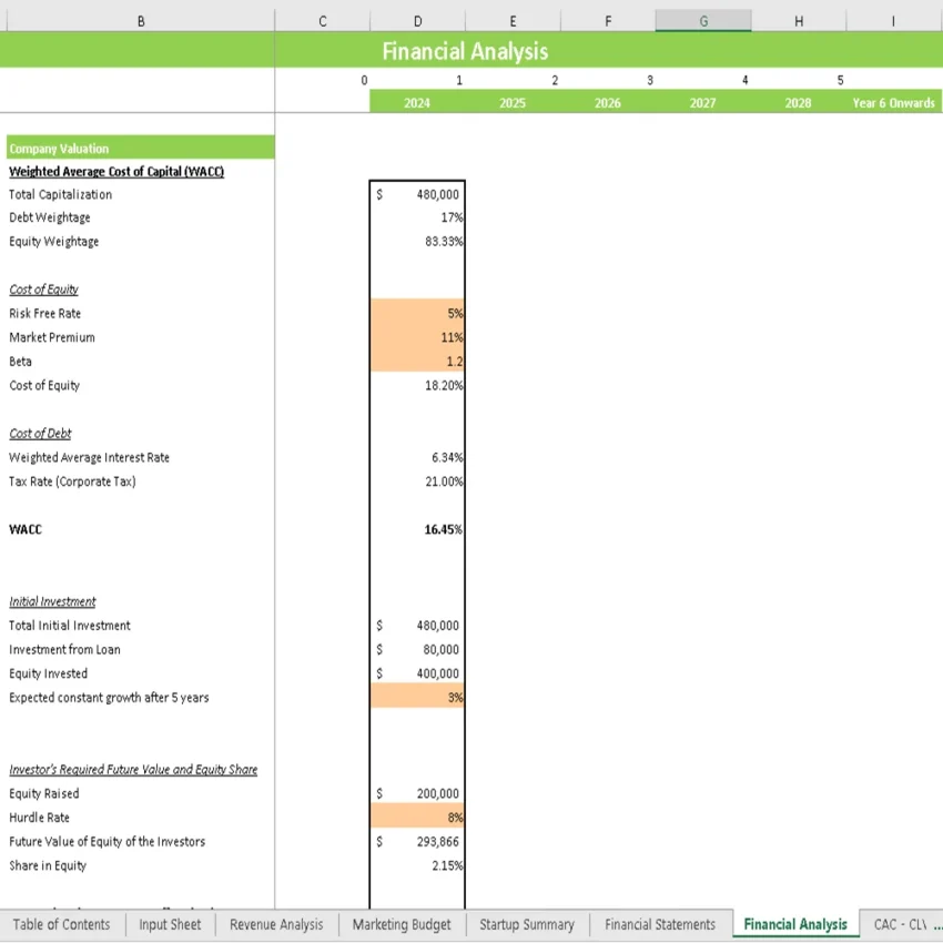 Volley Ball Club Financial Model - Company Valuation