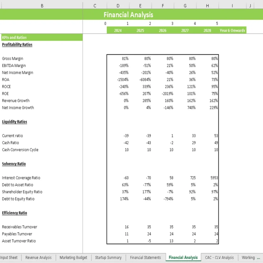 Volley Ball Club Financial Model - KPIs and Ratios