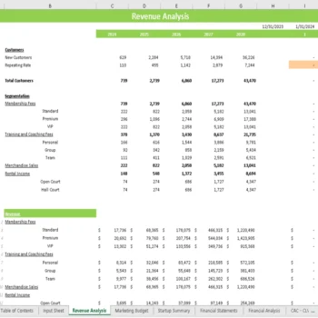 Volley Ball Club Financial Model - Revenue Analysis
