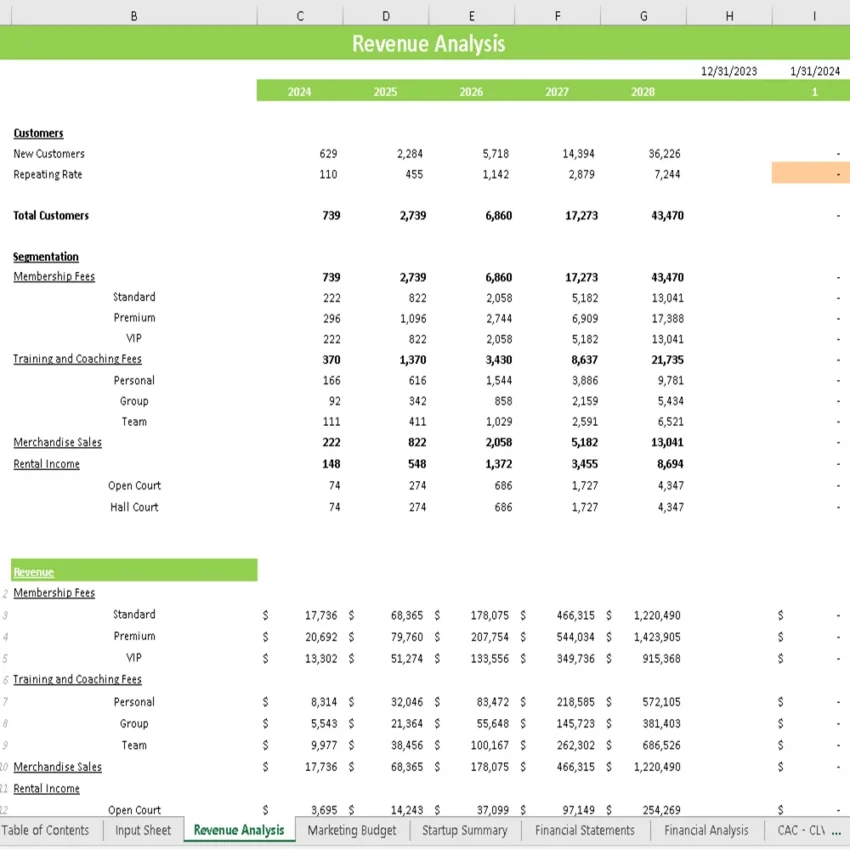 Volley Ball Club Financial Model - Revenue Analysis