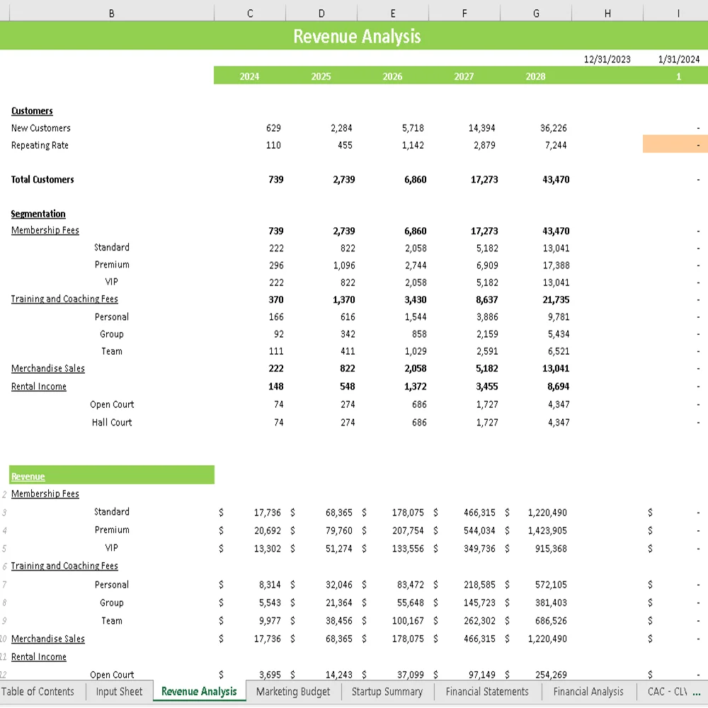 Volley Ball Club Financial Model - Revenue Analysis