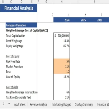 Book Subscription Excel Financial Model - Company Valuation