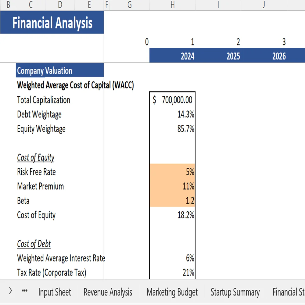 Book Subscription Excel Financial Model - Company Valuation