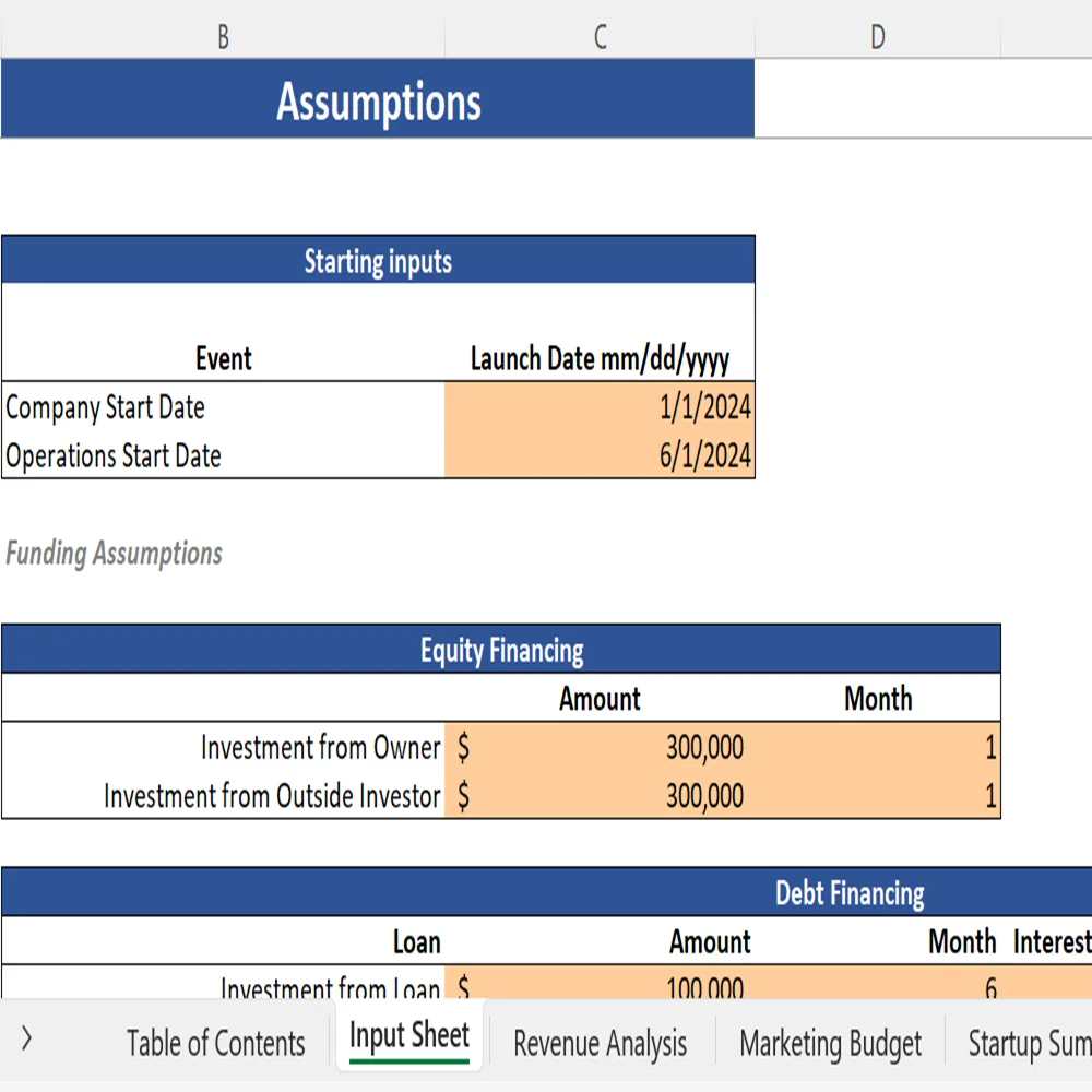 Book Subscription Excel Financial Model - Input Sheet