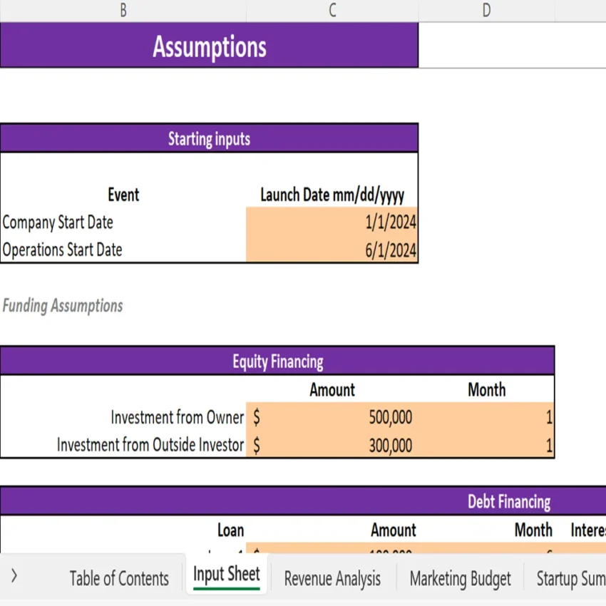 Fitness Subscription Box Financial Model - Input Sheet