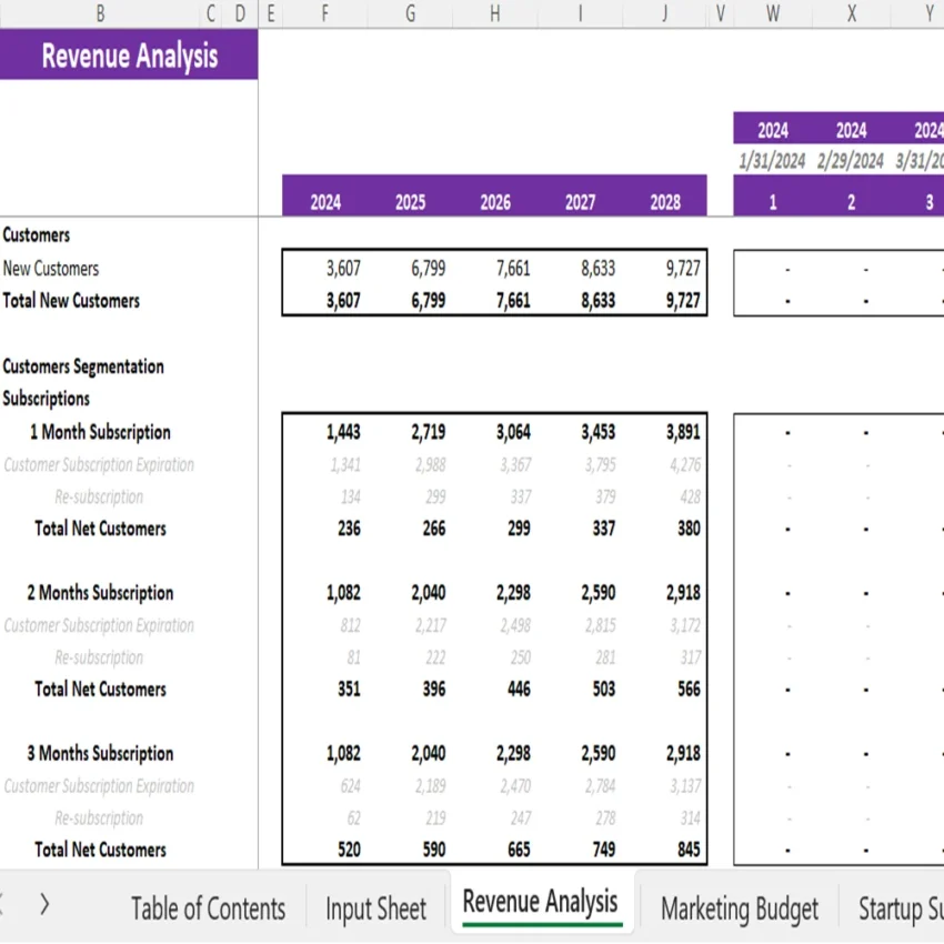Fitness Subscription Box Financial Model - Revenue Analysis