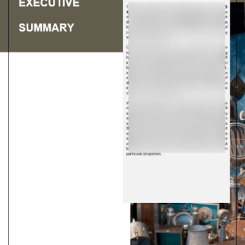 Antique Shop Business Plan