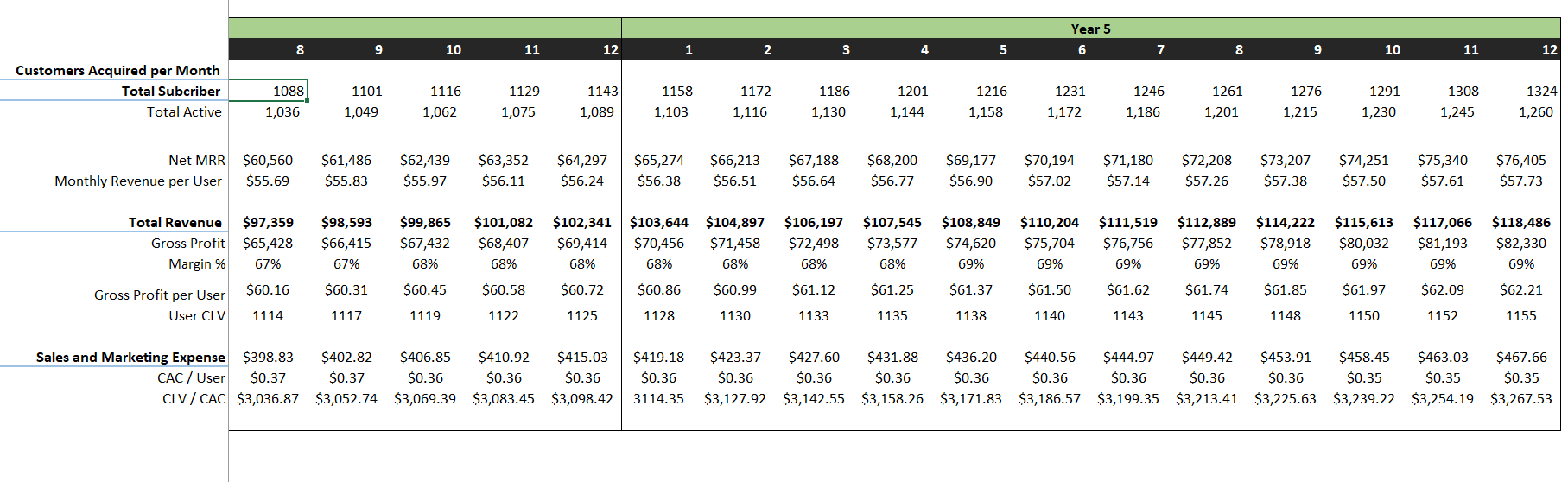 Accounting Software Excel Financial Model