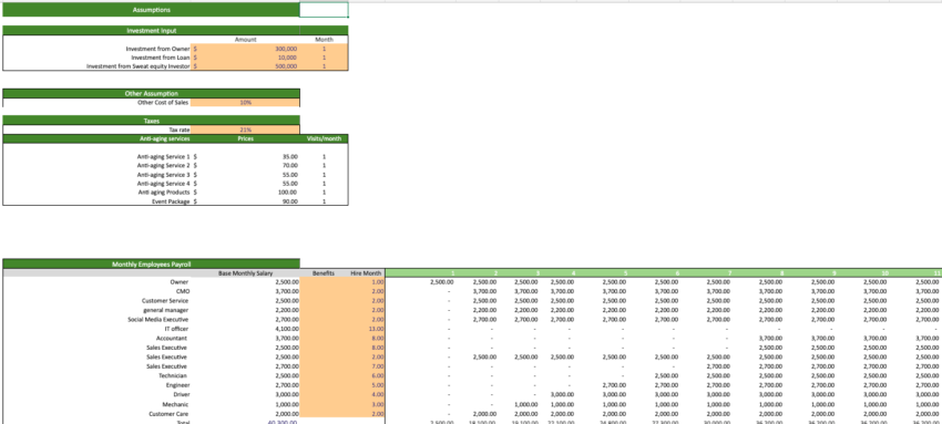 Anti-aging-Excel-Financial-Model-Template-input.png