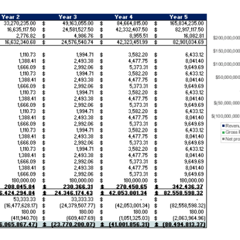 Appliance Store Excel Financial Model Yearly Income Statement