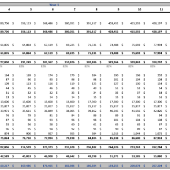 Ayurvedic Excel Financial Model Template