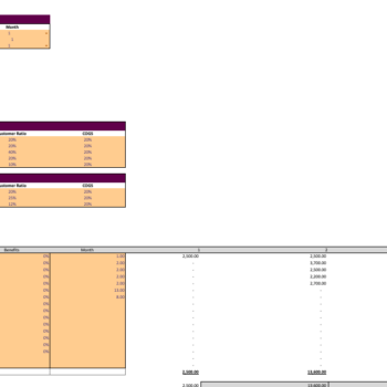 Ayurvedic-Excel-Financial-Model-Template-input.png