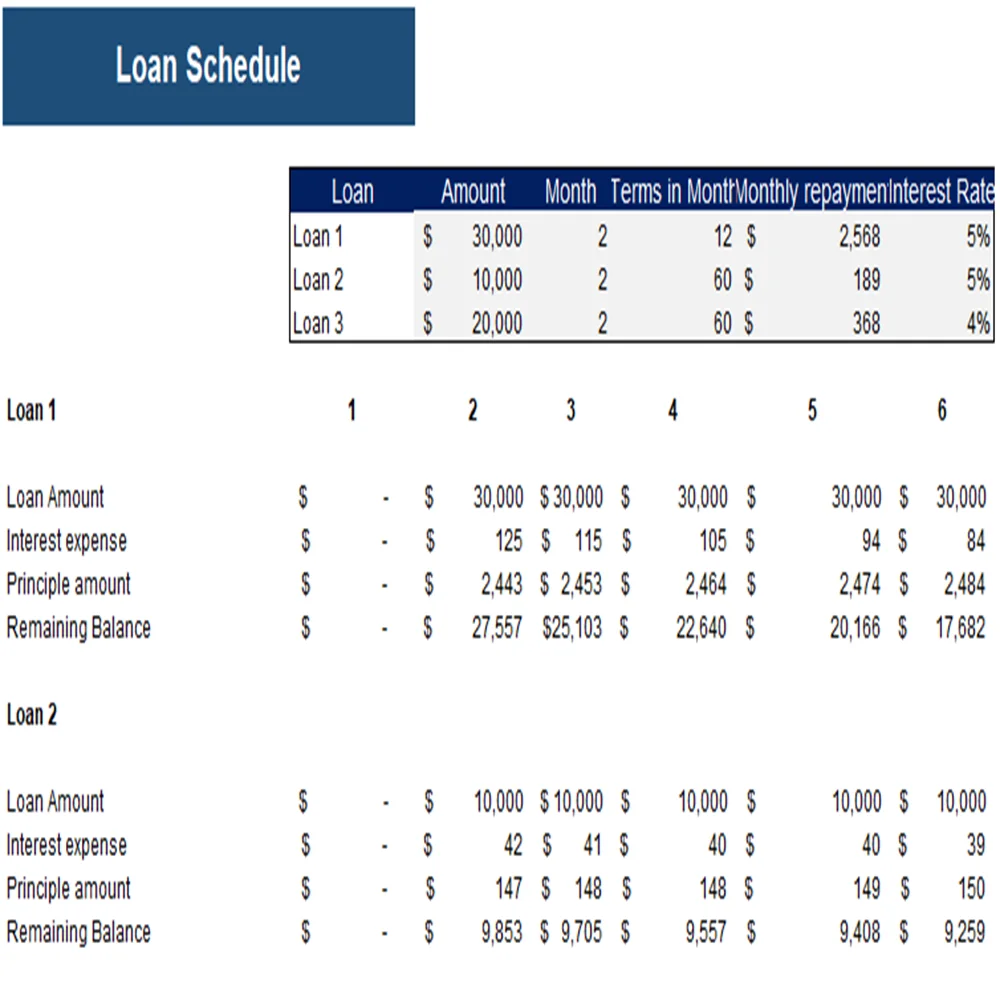 Loan Amortization Schedule Baking Subscription Box Excel Financial Model Projection Template - Loan Amortization Schedule